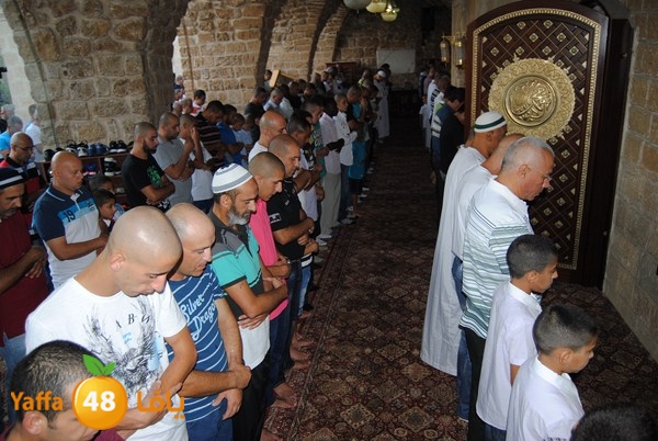 mahmoduia 3eed 808 (26).JPG